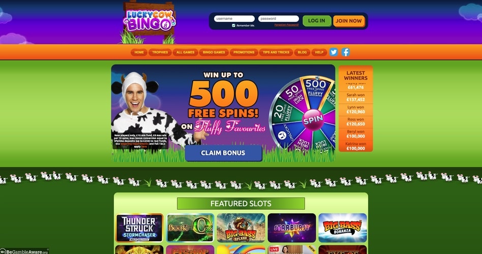 Lucky Cow Bingo screenshot